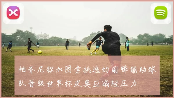 帕齐尼称加图索挑选的前锋能助球队晋级世界杯皮奥应减轻压力