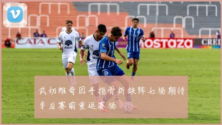 武切维奇因手指骨折缺阵七场期待季后赛前重返赛场